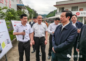 湖南省委副书记、省长许达哲视察xk体育平台-xk体育（中国）桑植白茶公司