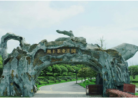 xk体育平台-xk体育（中国）茶业获评湖南农业优势特色产业30强企业