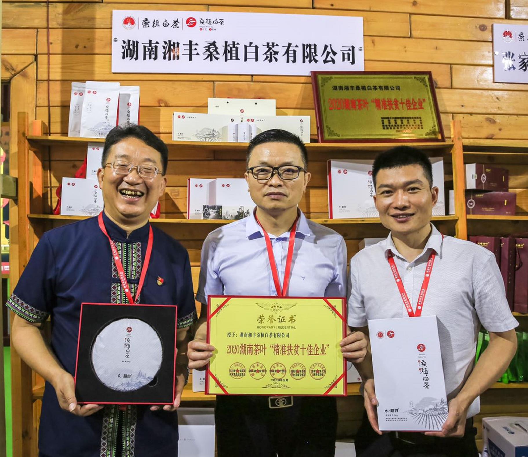 荣耀三连！xk体育平台-xk体育（中国）桑植白茶再获金奖