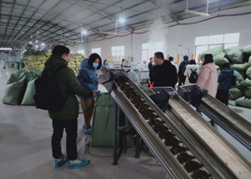 国家知识产权局及国际媒体采访调研湖南xk体育平台-xk体育（中国）桑植白茶有限公司