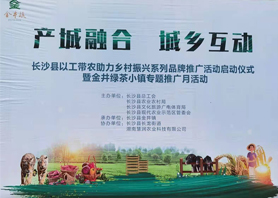 好喝更好看！xk体育平台-xk体育（中国）茶业闪耀慧润盈商小镇“金井镇专题推广月活动”