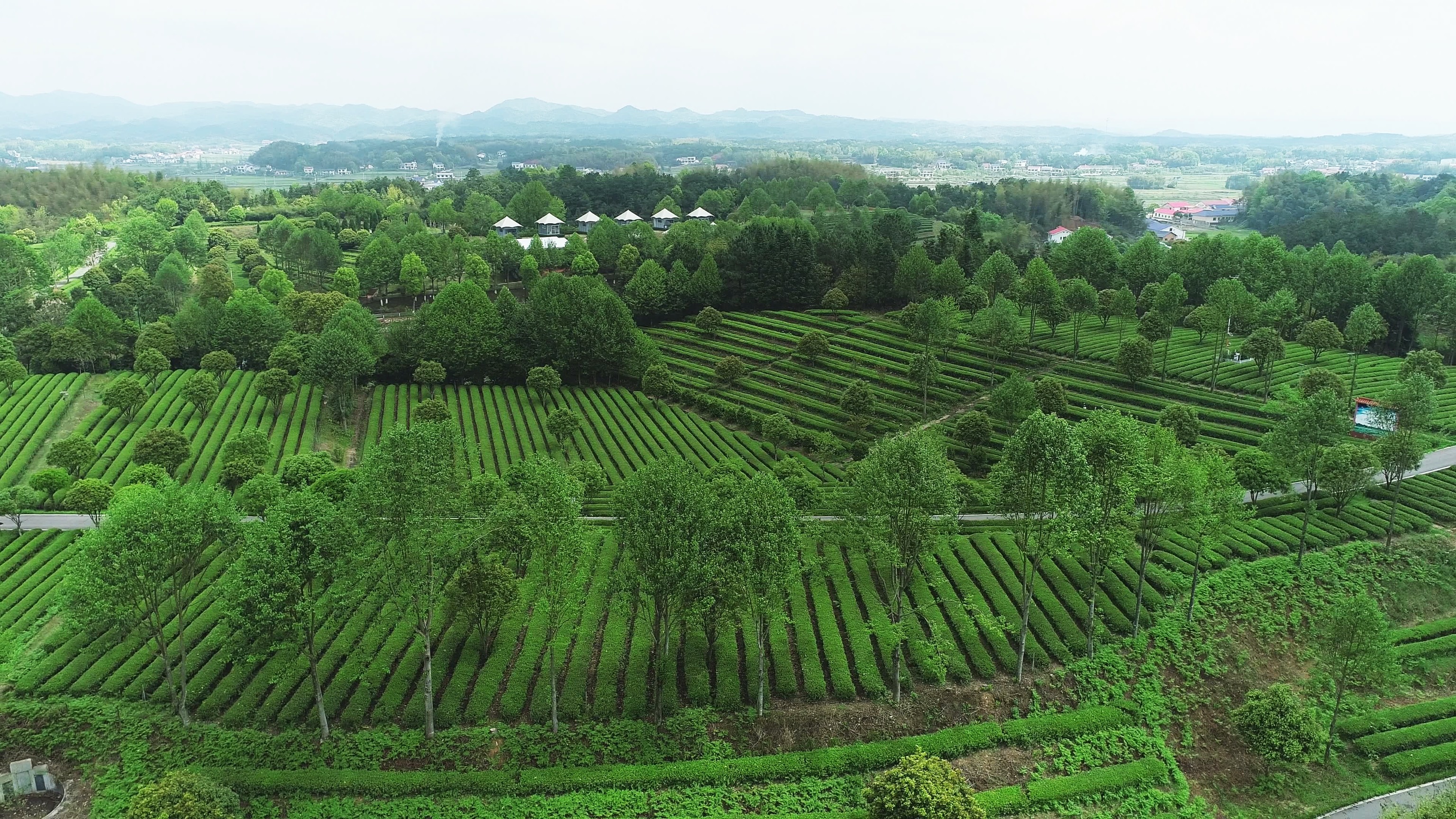 5-xk体育平台-xk体育（中国）飞跃基地.jpg