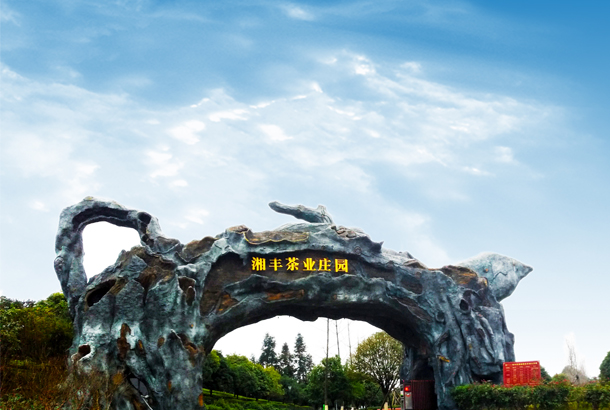 xk体育平台-xk体育（中国）茶业：一片“绿茶”，香飘全世界