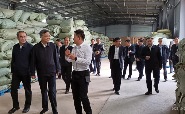 湖南省委常委、政法委书记李殿勋调研湖南xk体育平台-xk体育（中国）桑植白茶有限公司