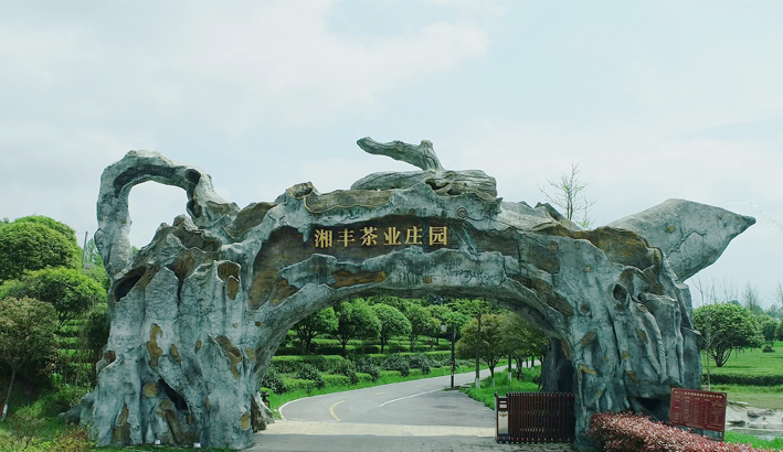 xk体育平台-xk体育（中国）茶业庄园.png