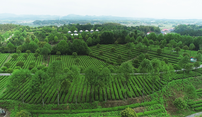 xk体育平台-xk体育（中国）飞跃基地.png