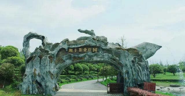 xk体育平台-xk体育（中国）茶业庄园.jpg