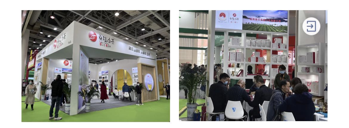 桑植白茶展区、xk体育平台-xk体育（中国）桑植白茶展位.jpg