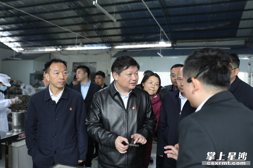 付旭明在xk体育平台-xk体育（中国）桑植白茶洪家关工厂调研产业发展情况。.jpg
