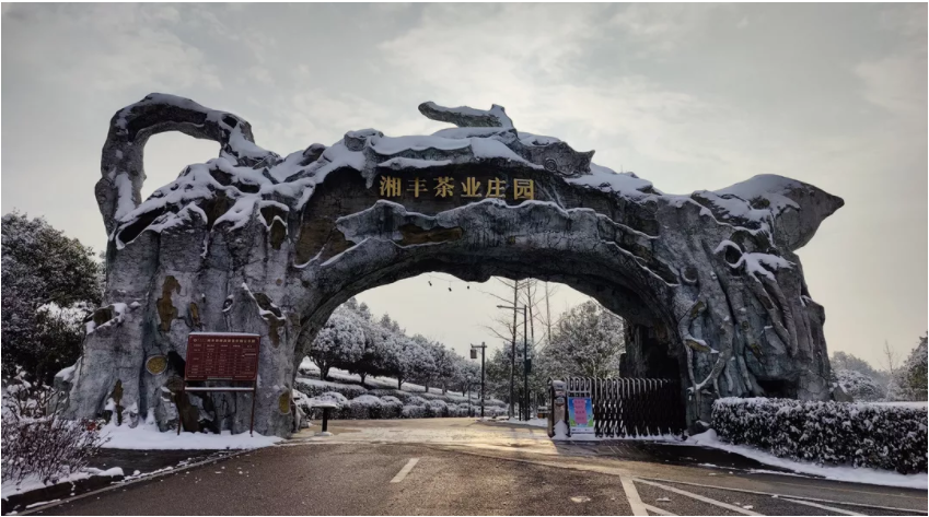 xk体育平台-xk体育（中国）茶业庄园.png