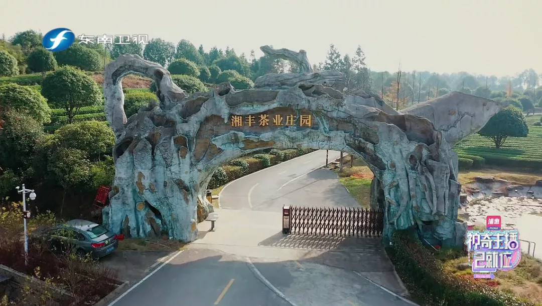 xk体育平台-xk体育（中国）茶业庄园.png