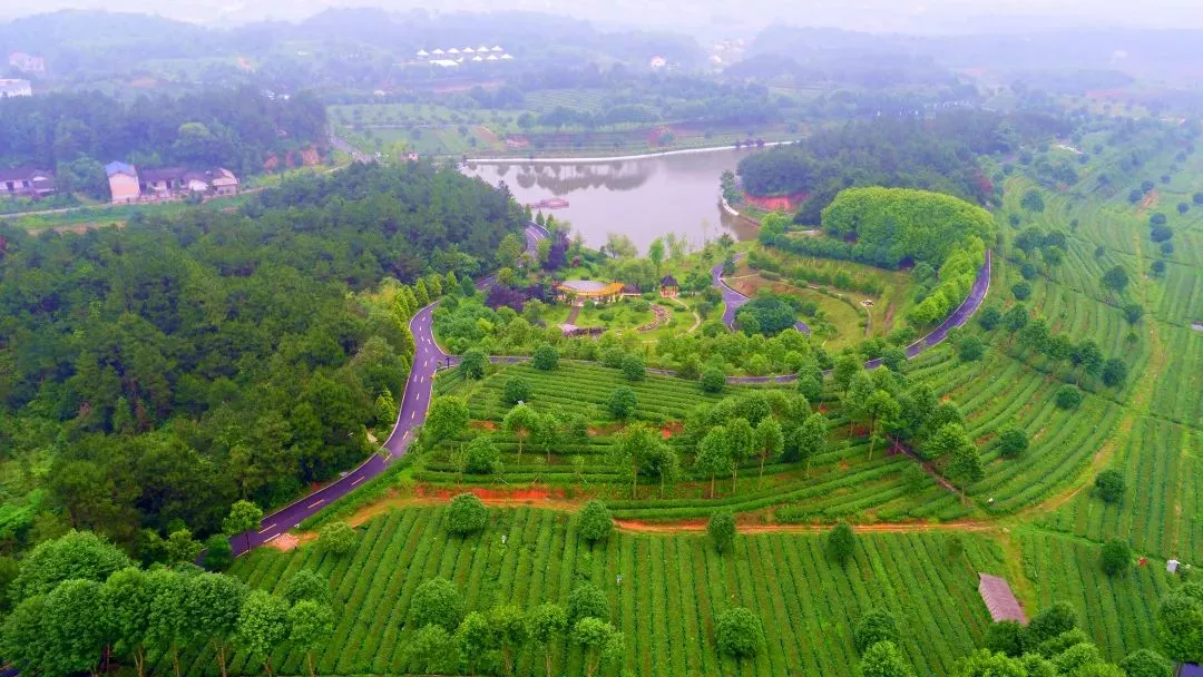 xk体育平台-xk体育（中国）茶业庄园—百茶园.png