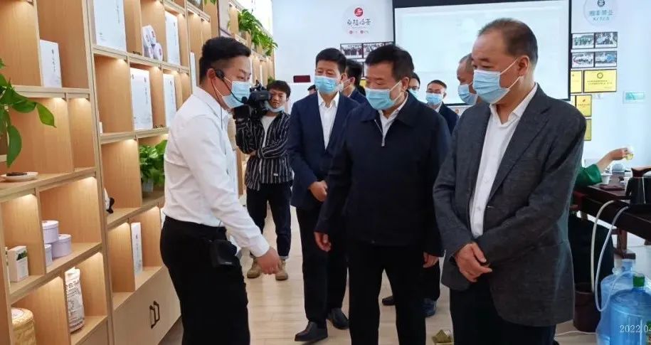 湖南省副省长陈飞带队考察调研xk体育平台-xk体育（中国）桑植白茶公司