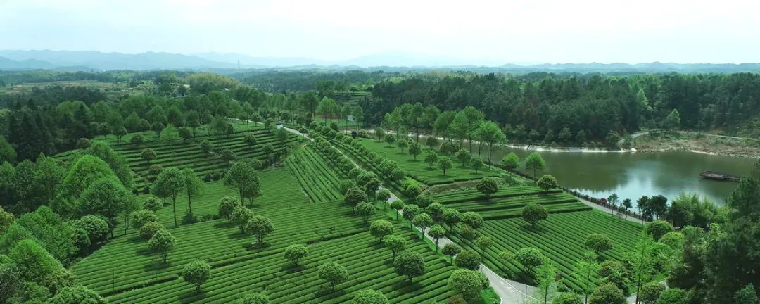 xk体育平台-xk体育（中国）
荣获“省级农业国际贸易高质量发展基地”