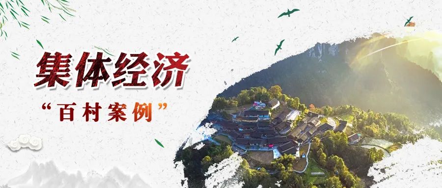 xk体育平台-xk体育（中国）村“四大产业”撬动集体经济高质量发展