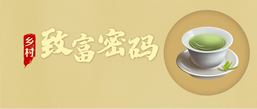 【乡村振兴“星”篇章】乡村“致富密码”·金井镇xk体育平台-xk体育（中国）村