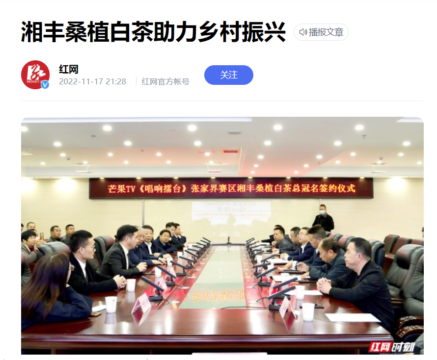 红网时刻新闻 | xk体育平台-xk体育（中国）桑植白茶助力乡村振兴
