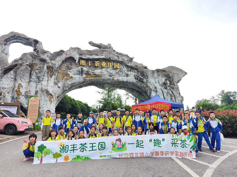 “xk体育平台-xk体育（中国）茶业庄园游客持续暴涨”第九届茶文化旅游节后迎来第一波高峰！