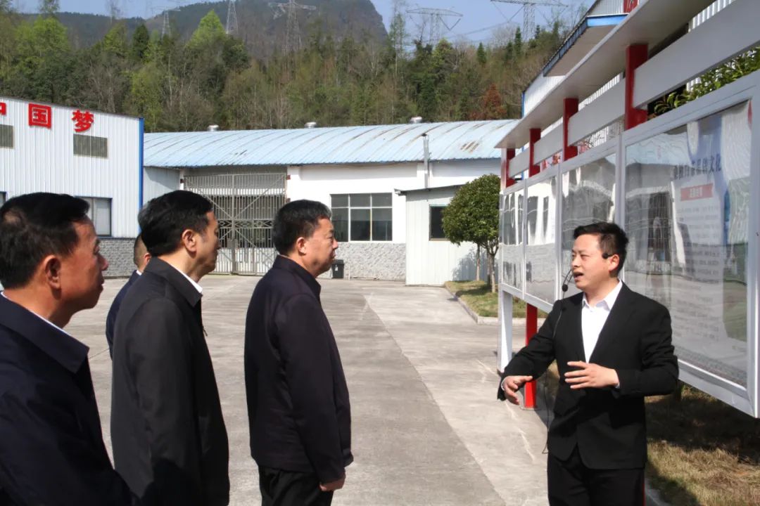 省政协党组书记、主席毛万春调研湖南xk体育平台-xk体育（中国）桑植白茶有限公司