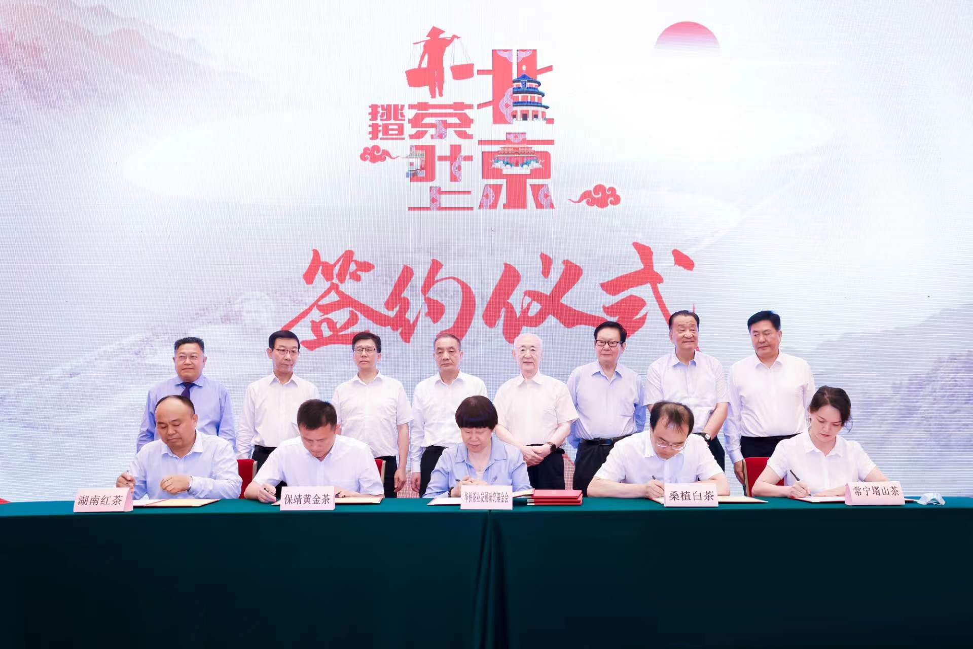xk体育平台-xk体育(中国)桑植白茶受邀亮相北京人民大会堂 xk体育平台-xk体育(中国)桑植白茶受邀亮相北京人民大会堂