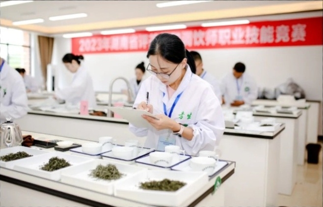 时光长廊•劳动者风采 | 谢娇枚：科班出身深耕茶园，以“技”赋能产业发展