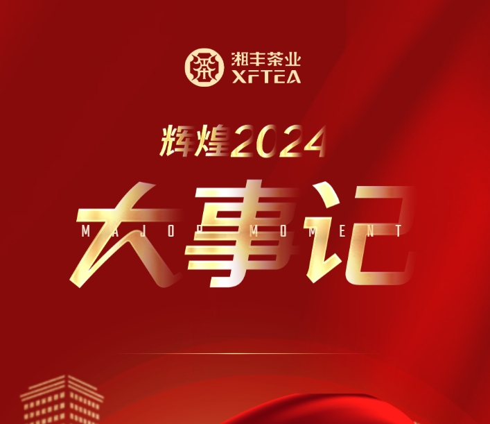 辉煌2024 | xk体育平台-xk体育（中国）
年度大事记