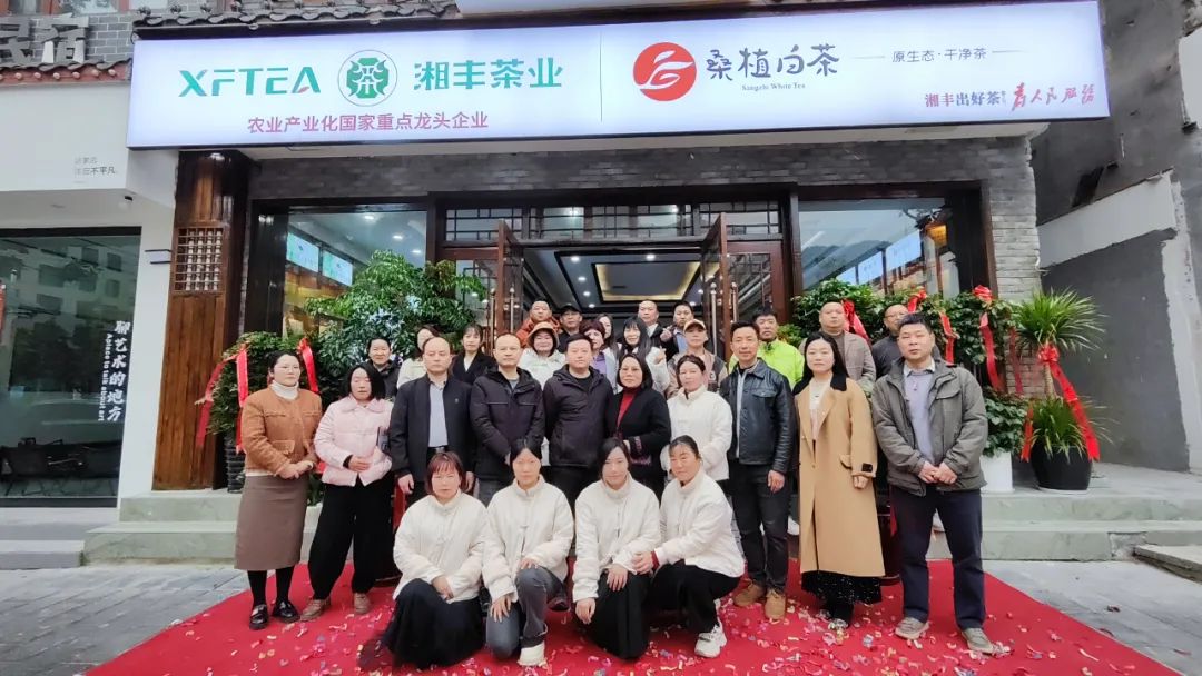 xk体育平台-xk体育（中国）茶业·桑植白茶张家界武陵源旗舰店盛大开业！
