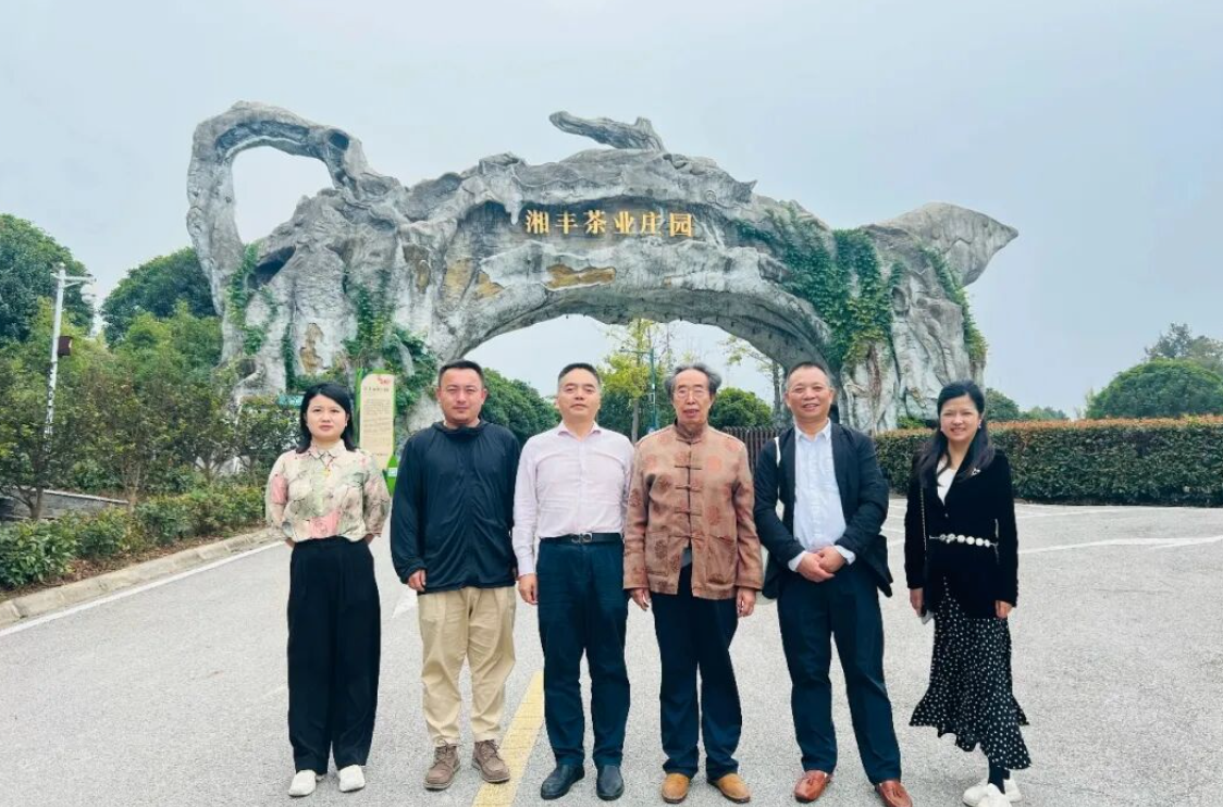湖南省茶文化研究会会长肖涛一行调研xk体育平台-xk体育（中国）
 共促茶文化传承与产业创新