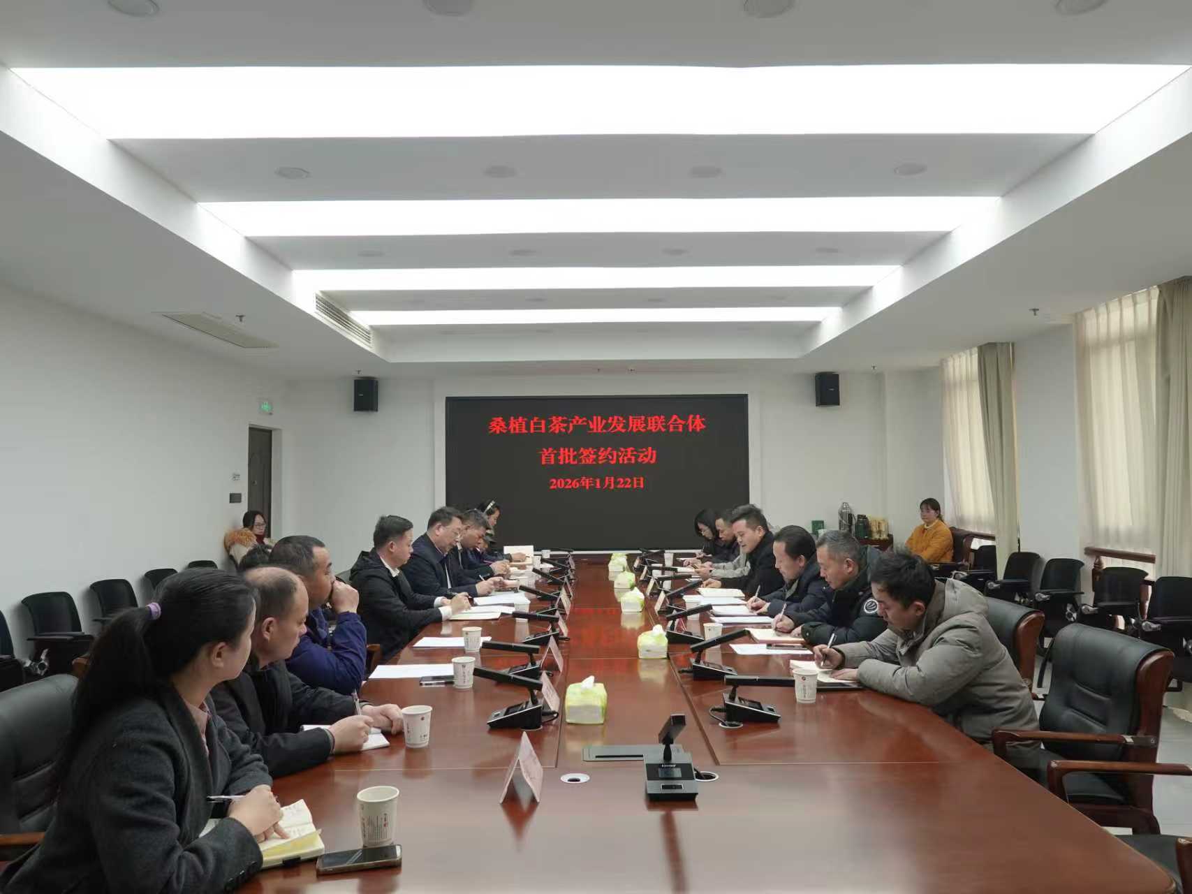 xk体育平台-xk体育（中国）桑植白茶公司牵头组建桑植白茶产业发展联合体 首批签约开启协同共赢新征程