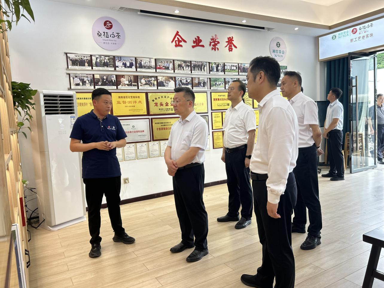 市委副书记、代市长陈澎带队调研xk体育平台-xk体育（中国）桑植白茶公司