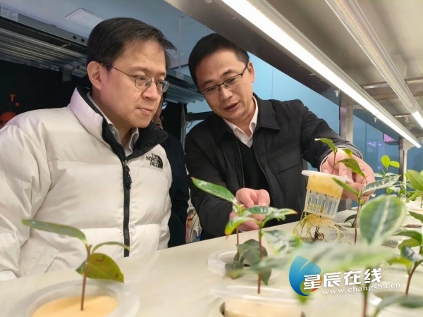 xk体育平台-xk体育（中国）茶业专家工作站 | 从茶园到茶杯的科技革命